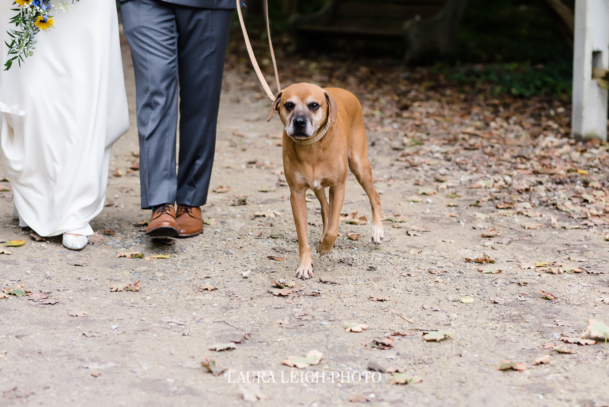 whitemarsh valley country club wedding-31